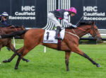 Bay thoroughbred in white saddlecloth #1, ridden by jockey in black-pink-and-white silks with pink helmet, racing on the Caulfield Racecourse turf as rivals close in behind.