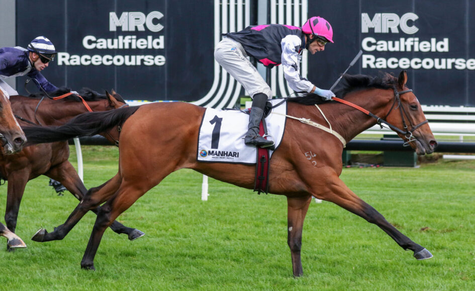 Bay thoroughbred in white saddlecloth #1, ridden by jockey in black-pink-and-white silks with pink helmet, racing on the Caulfield Racecourse turf as rivals close in behind.