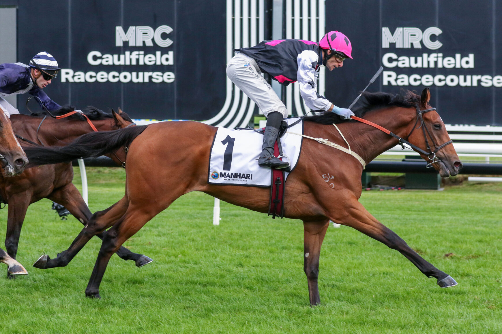 Bay thoroughbred in white saddlecloth #1, ridden by jockey in black-pink-and-white silks with pink helmet, racing on the Caulfield Racecourse turf as rivals close in behind.