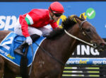 Jockey in red silks and helmet on a dark brown horse jumping a hurdle, blue sponsor banners in the background.