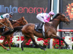 Jockey in pink silks on a bay horse leading a tight horse race on a green track, with floral barriers in the background.