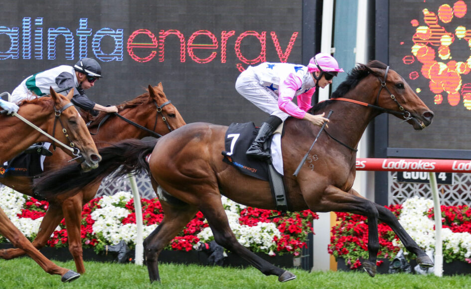 Jockey in pink silks on a bay horse leading a tight horse race on a green track, with floral barriers in the background.