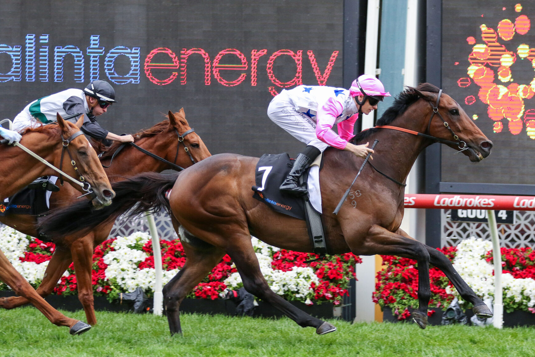 Jockey in pink silks on a bay horse leading a tight horse race on a green track, with floral barriers in the background.