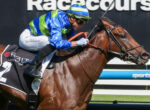 Jockey in blue and lime-green silks riding a brown racehorse mid-gallop over a rail barrier, with reins in hand and helmet visible.