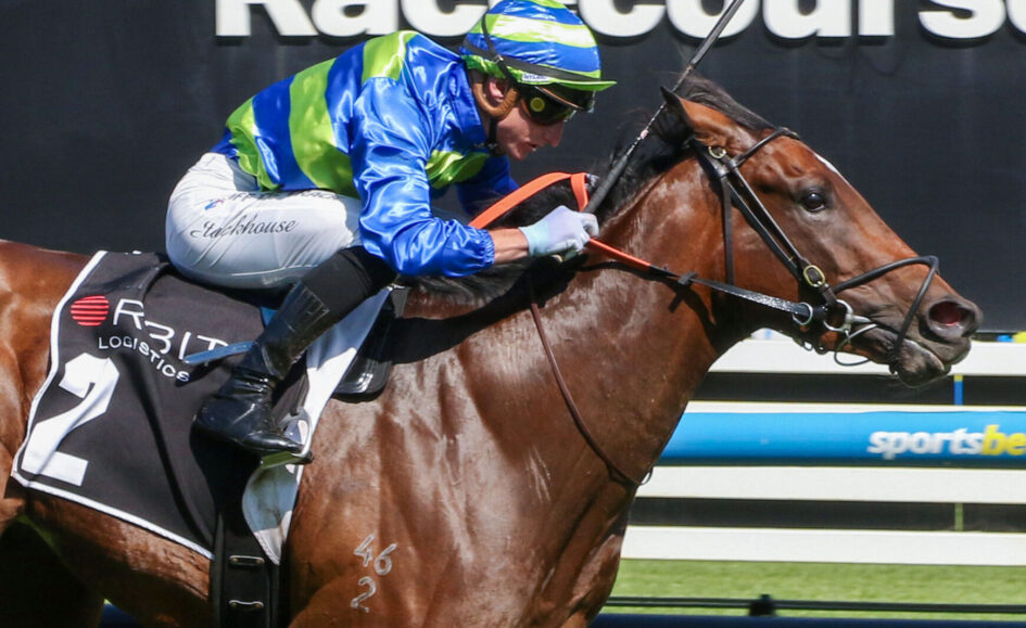 Jockey in blue and lime-green silks riding a brown racehorse mid-gallop over a rail barrier, with reins in hand and helmet visible.