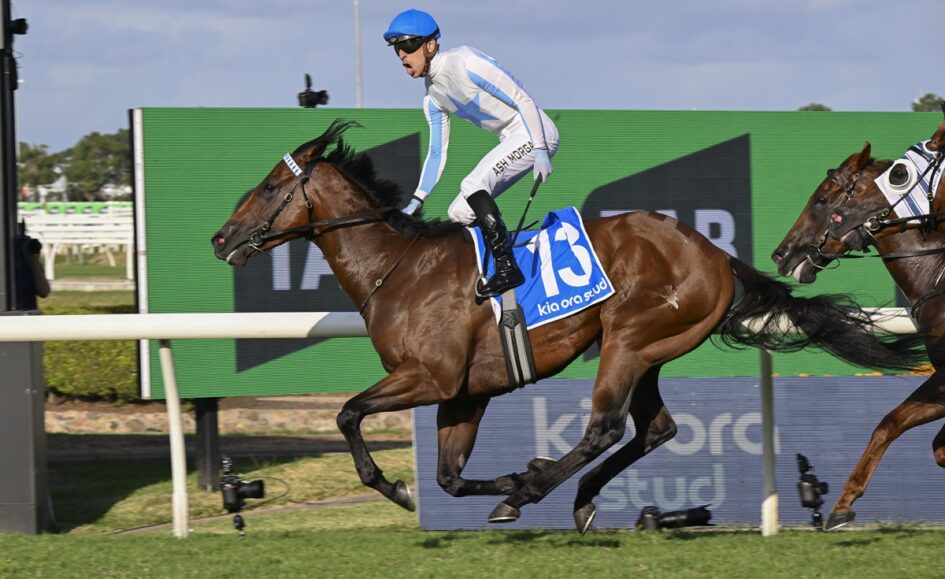 Jockey in blue helmet and white-and-blue silks rides a brown racehorse wearing a blue number 13 saddle cloth mid-gallop on a grassy race track with advertising boards in the background.