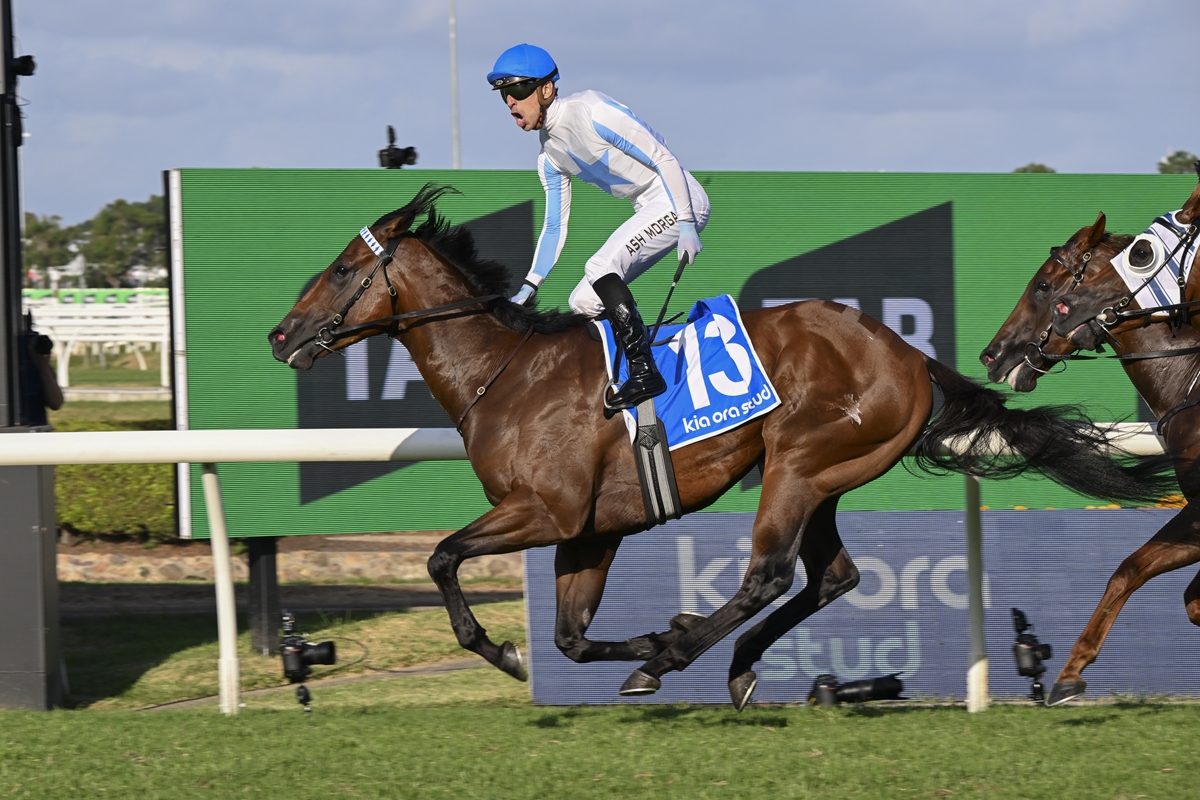 Jockey in blue helmet and white-and-blue silks rides a brown racehorse wearing a blue number 13 saddle cloth mid-gallop on a grassy race track with advertising boards in the background.