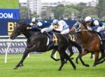 A horse race in progress: a black horse leads a pack of jockeys on a green turf, wearing blue and white silks with the number 4 saddlecloth.