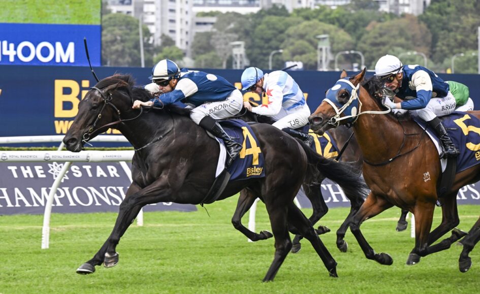 A horse race in progress: a black horse leads a pack of jockeys on a green turf, wearing blue and white silks with the number 4 saddlecloth.