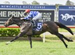 Jockey in blue-and-white silks and a red helmet riding a dark bay horse with a blue number-5 saddlecloth, racing at Newcastle Racecourse with advertising boards in the background.