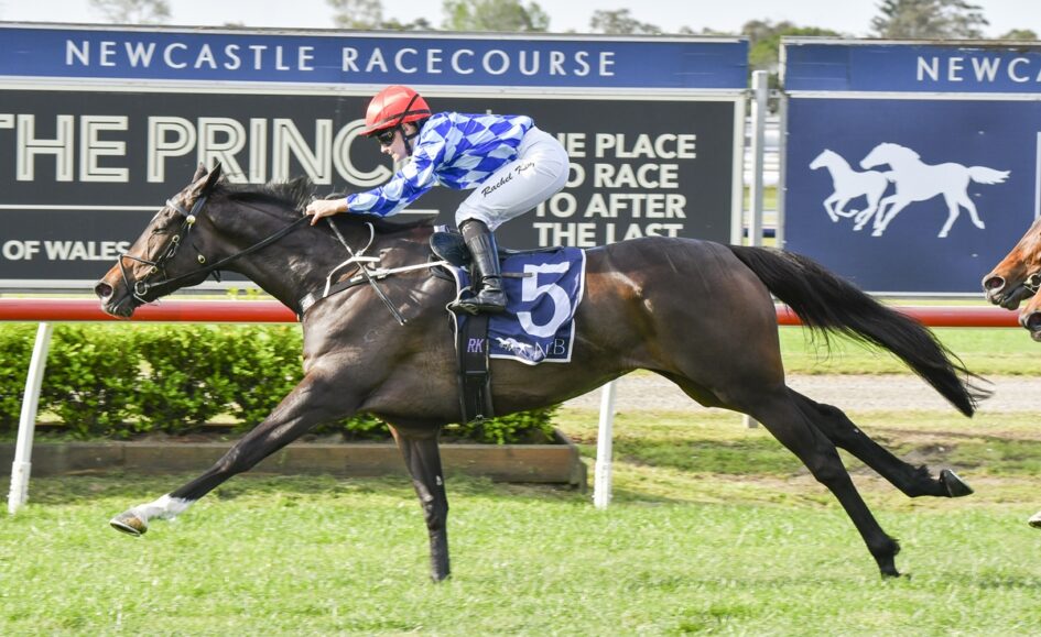 Jockey in blue-and-white silks and a red helmet riding a dark bay horse with a blue number-5 saddlecloth, racing at Newcastle Racecourse with advertising boards in the background.