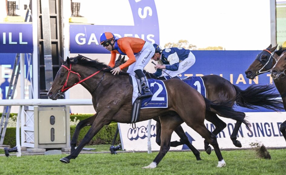 Jockey in orange and blue on a dark brown horse wearing #2 finishes a horse race on a grassy track, near the lead rail.