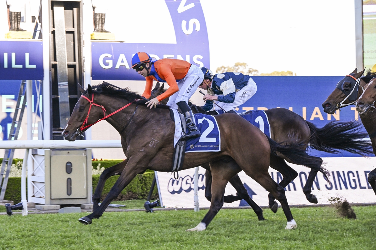 Jockey in orange and blue on a dark brown horse wearing #2 finishes a horse race on a grassy track, near the lead rail.