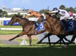 A close horse race with a brown horse wearing blue saddlecloth #8 leading, ridden by a rider in orange silks on a sunny track.