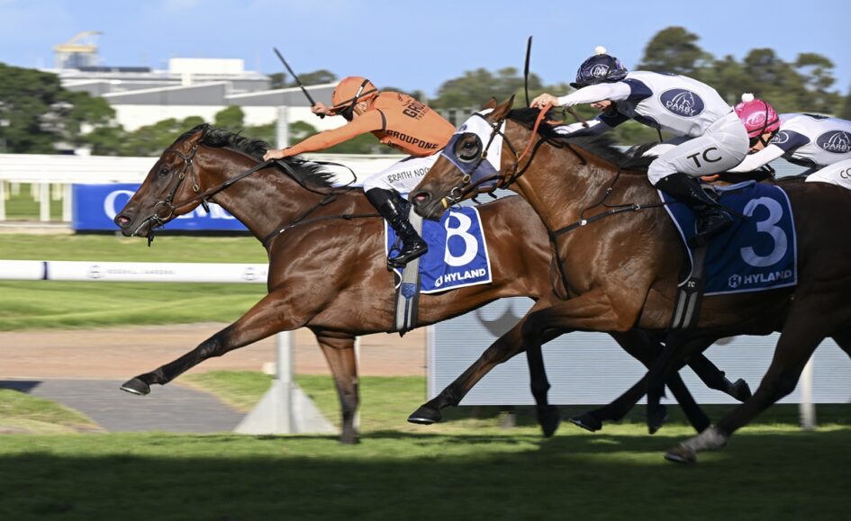 A close horse race with a brown horse wearing blue saddlecloth #8 leading, ridden by a rider in orange silks on a sunny track.