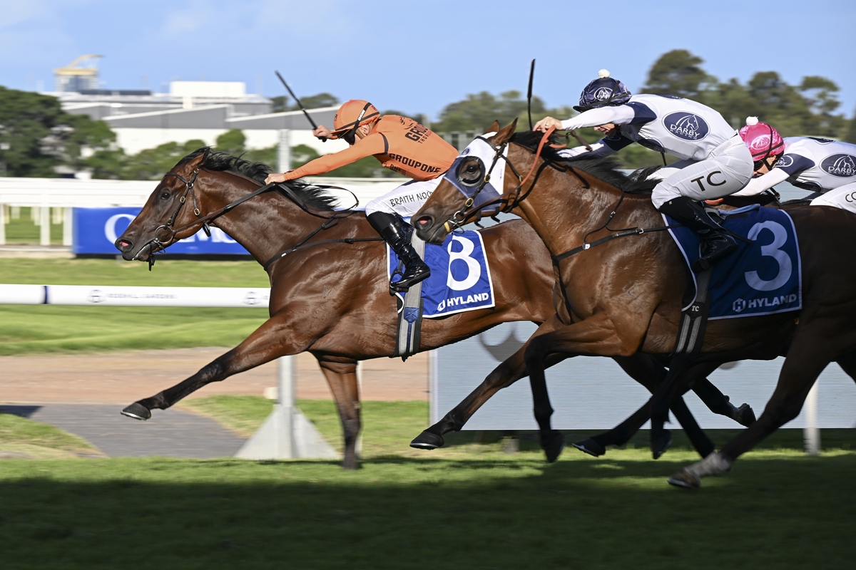 A close horse race with a brown horse wearing blue saddlecloth #8 leading, ridden by a rider in orange silks on a sunny track.