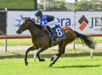 Jockey in blue and black silks rides a bay racehorse with number 8 on a sunny turf track, advertising boards in the background.