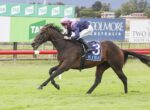 Horse and rider sprint on a grassy race track; rider wears pink helmet and navy silks, saddle cloth shows number 3 and HTBA.