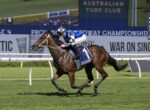 Jockey in blue-and-white silks rides a bay racehorse (saddlecloth number 1) on a grassy turf track with advertising boards in the background.