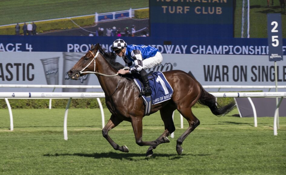 Jockey in blue-and-white silks rides a bay racehorse (saddlecloth number 1) on a grassy turf track with advertising boards in the background.