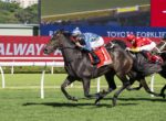 Leading black horse with blue checkered silks and yellow cap, red saddle cloth, sprinting on a sunny turf racecourse