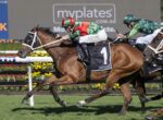 Two racehorses and jockeys sprinting on a grass track; front horse wears number 1 saddlecloth with 'myplates' signage in the background.