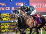 Jockey in green silks rides a brown racehorse with a green hood, number 2 saddle cloth with Moët & Chandon branding visible at a race.