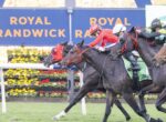 Group of racing horses and jockeys sprint toward the finish line on a manicured track, with a blue sponsor wall reading 'ROYAL RANDWICK' in the background.