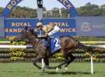 Jockey in gold silks rides a dark brown horse with a blue bridle on a race track at Royal Randwick, mid-stride in a race.