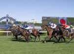 Horse race at Royal Randwick with jockeys in blue, white, and red silks sprinting on a green track beneath a clear blue sky.