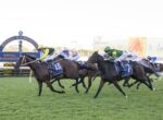 Horse race in progress at Royal Randwick, jockeys in colorful silks sprinting on a grassy track with horses neck-and-neck.