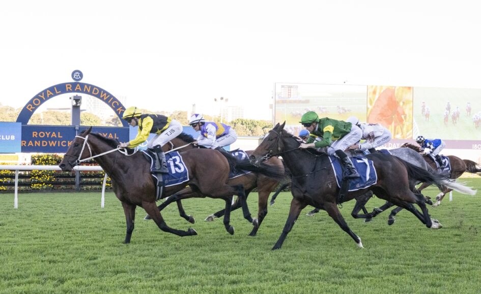 Horse race in progress at Royal Randwick, jockeys in colorful silks sprinting on a grassy track with horses neck-and-neck.