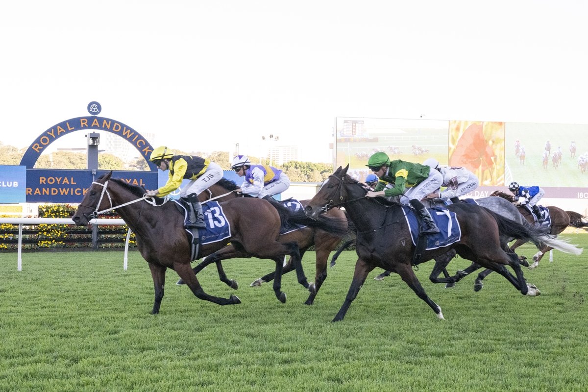 Horse race in progress at Royal Randwick, jockeys in colorful silks sprinting on a grassy track with horses neck-and-neck.