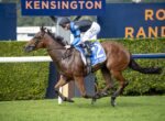 Jockey in blue and black silks rides a galloping brown horse past a Kensington race signs backdrop at a track.