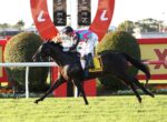 Jockey riding a black horse over a hurdle during a daytime horse race, with colorful sponsor banners in the background