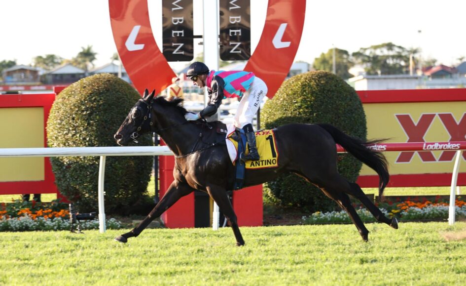 Jockey riding a black horse over a hurdle during a daytime horse race, with colorful sponsor banners in the background