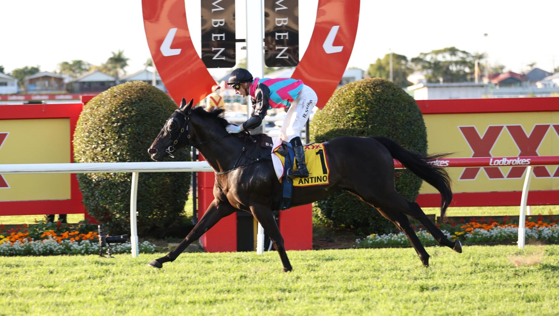 Jockey riding a black horse over a hurdle during a daytime horse race, with colorful sponsor banners in the background