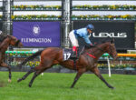 Jockey in blue silks on a bay horse №17 racing on green turf at Flemington, with a competitor close behind and sponsor signs in the background.