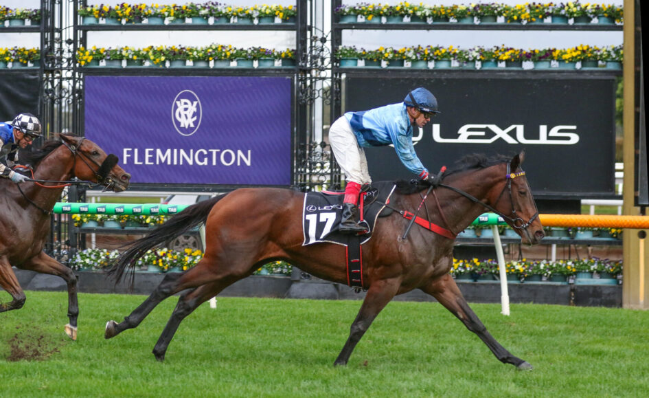 Jockey in blue silks on a bay horse №17 racing on green turf at Flemington, with a competitor close behind and sponsor signs in the background.