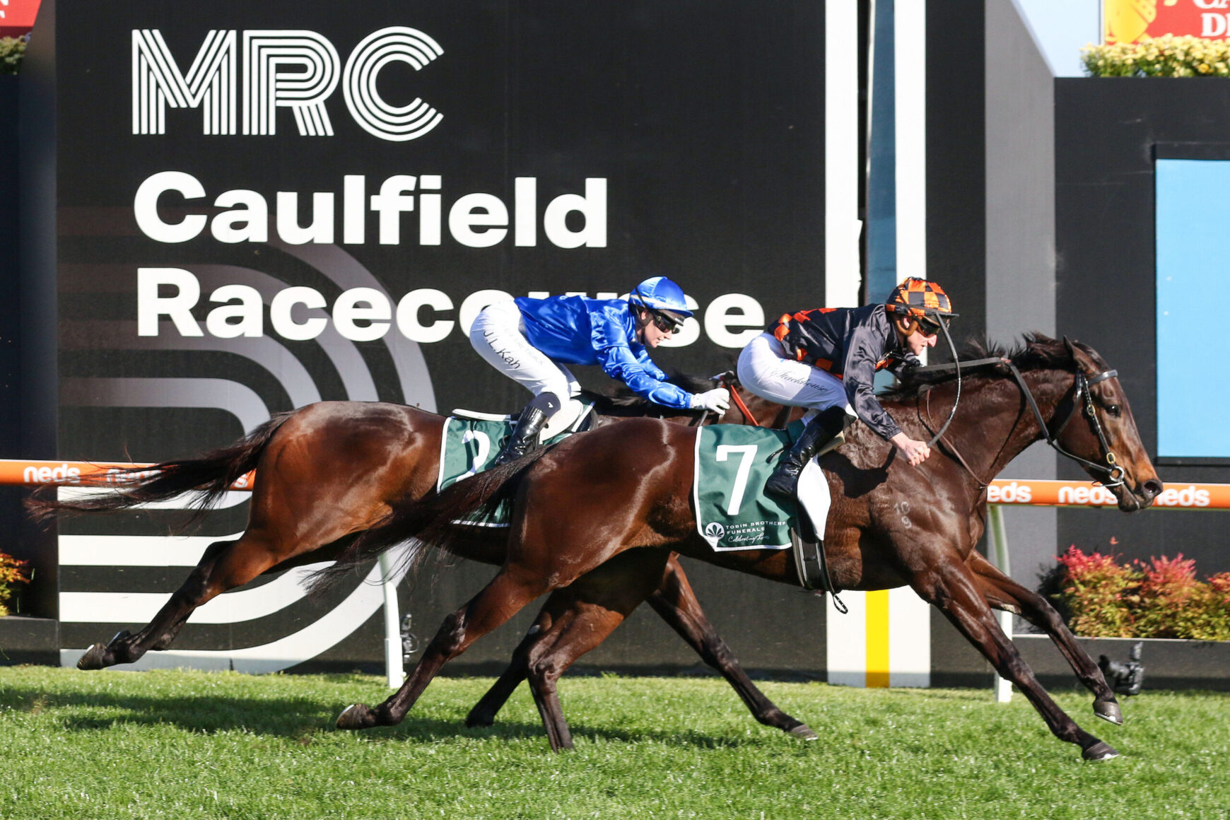 Two jockeys on dark brown horses sprint toward the finish at Caulfield Racecourse, race banners in the background.