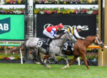 Two jockeys race on horseback, wearing red-and-white and yellow-and-blue silks, with horse numbers 9 and 3, on a grassy track with colorful flowers in the background.