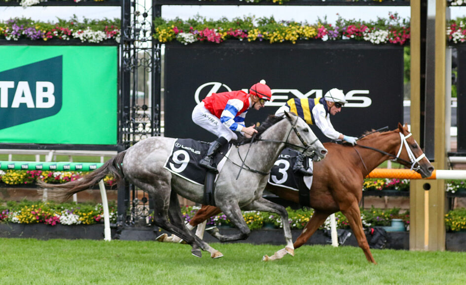 Two jockeys race on horseback, wearing red-and-white and yellow-and-blue silks, with horse numbers 9 and 3, on a grassy track with colorful flowers in the background.