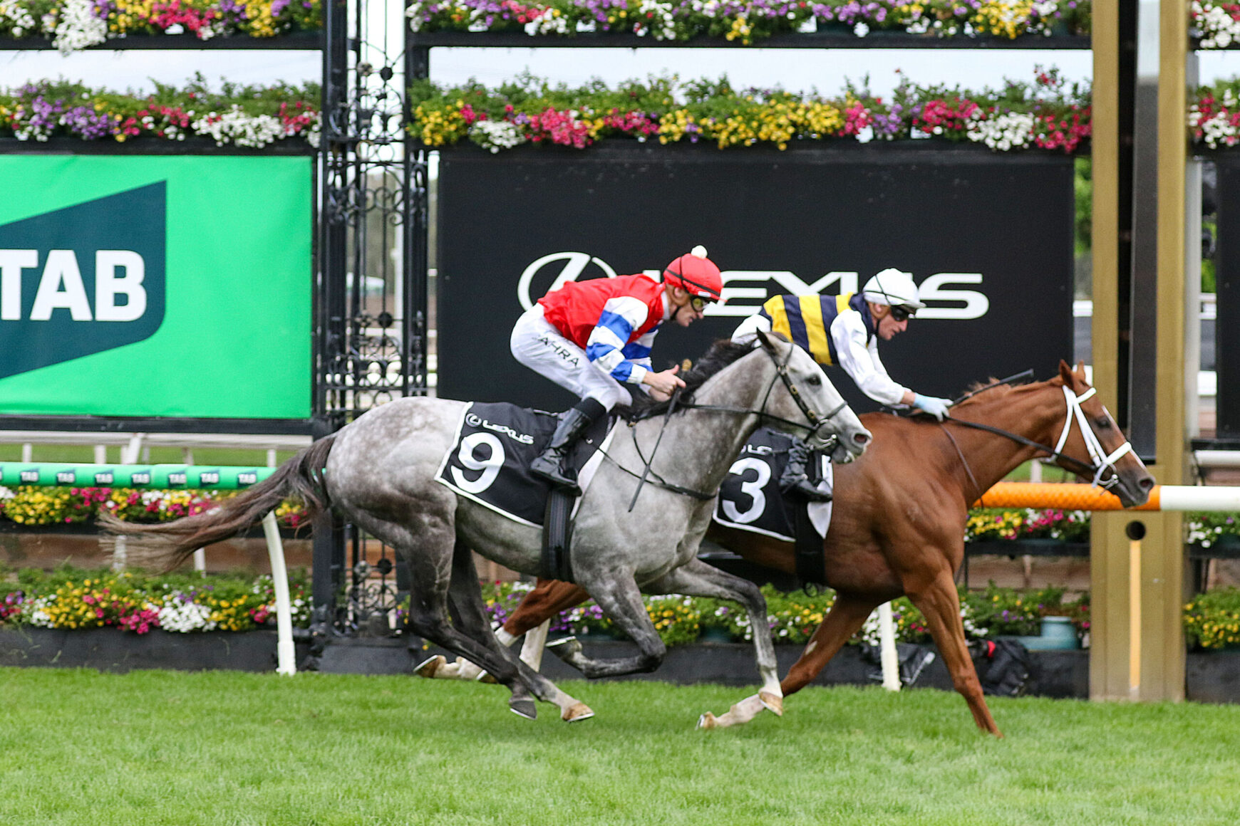 Two jockeys race on horseback, wearing red-and-white and yellow-and-blue silks, with horse numbers 9 and 3, on a grassy track with colorful flowers in the background.