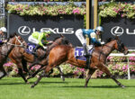 Leading brown racehorse in blue-and-white silks, jockey leaning forward during a sprint on a sunny turf track, Lexus banners in the background, pursued by rivals.