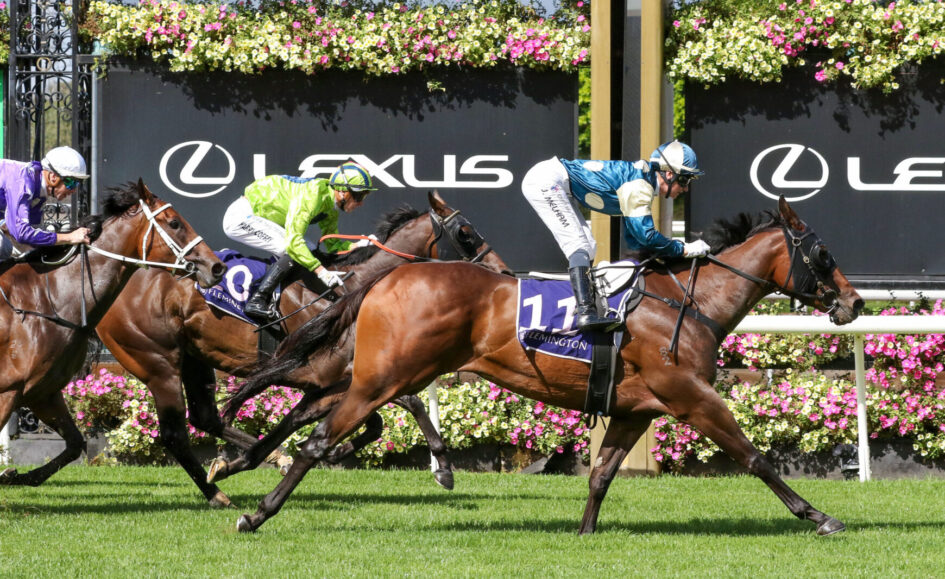 Leading brown racehorse in blue-and-white silks, jockey leaning forward during a sprint on a sunny turf track, Lexus banners in the background, pursued by rivals.