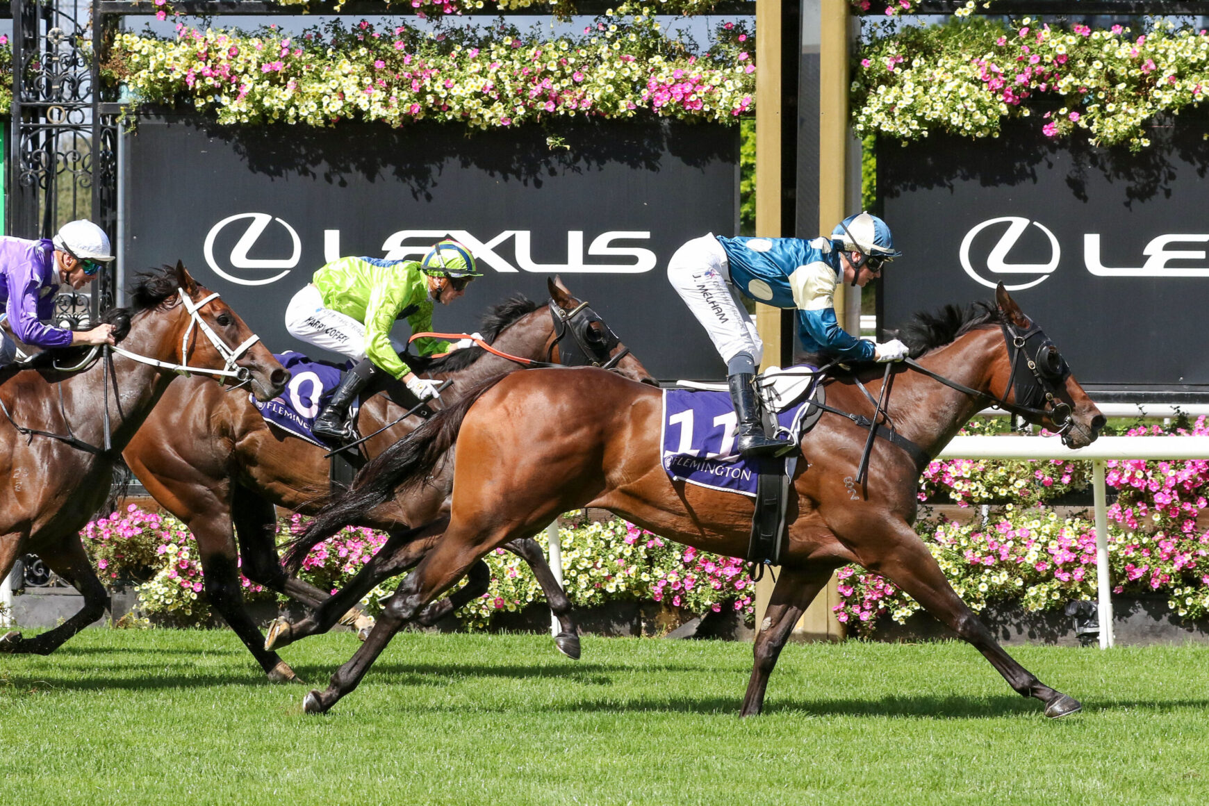 Leading brown racehorse in blue-and-white silks, jockey leaning forward during a sprint on a sunny turf track, Lexus banners in the background, pursued by rivals.