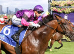 Jockey in purple and pink silks leaning forward on a galloping brown horse with a blue saddlecloth and number 6 during a race, city skyline in the background.