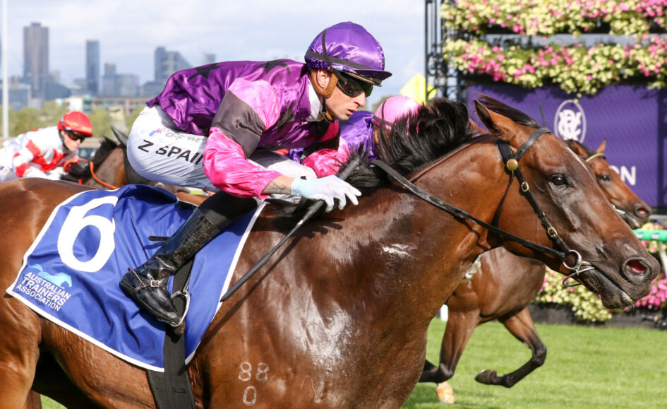 Jockey in purple and pink silks leaning forward on a galloping brown horse with a blue saddlecloth and number 6 during a race, city skyline in the background.