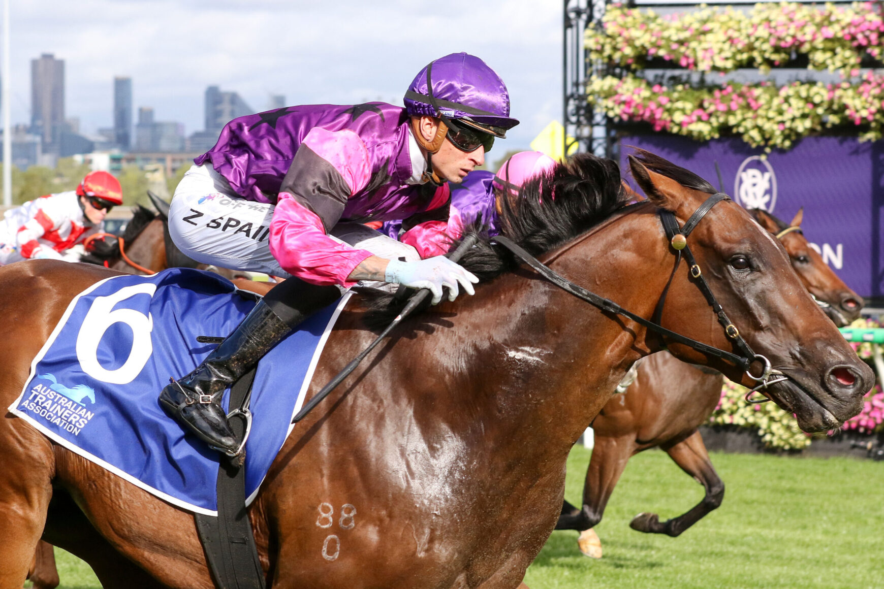 Jockey in purple and pink silks leaning forward on a galloping brown horse with a blue saddlecloth and number 6 during a race, city skyline in the background.