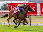 Jockey in purple and lime-green silks riding a brown racehorse on a grass track, with red Ladbrokes banners in the background.